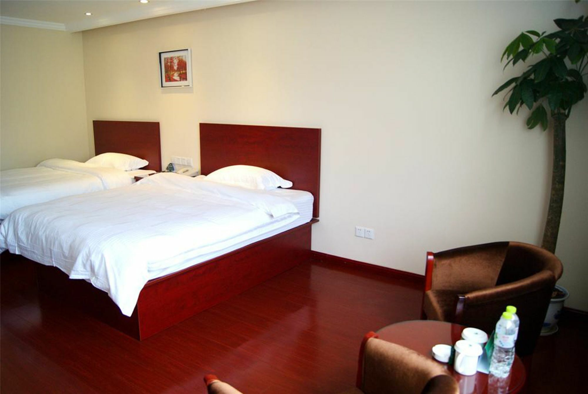 Greentree Alliance Shenzhen Shekou Sea World Hotel Eksteriør billede